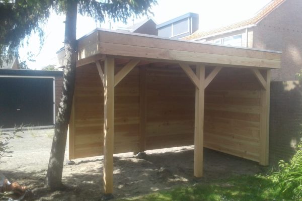AnyConv.com__douglas-overkapping-vrijstaand